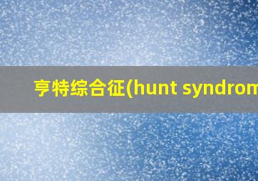 亨特综合征(hunt syndrome)